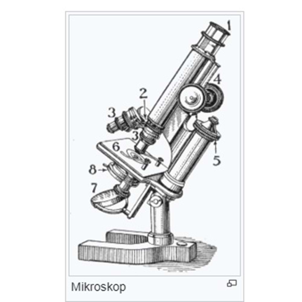 Mikroskop Genel Bakış - Makale-Teknik yazı