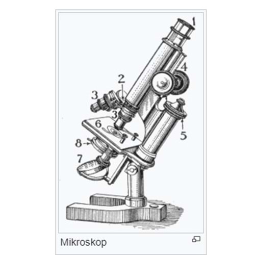 Mikroskop Genel Bakış - Makale-Teknik yazı